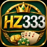 HZ333 APK