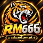 RM666 Game